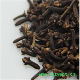 公丁香 统 产地 海南省海口市市辖区图2