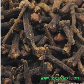 公丁香 统 产地 海南省海口市市辖区图3