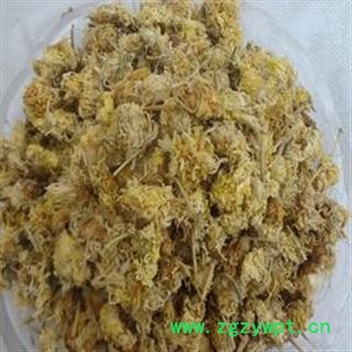 道地亳菊花 统 产地 安徽省亳州市谯城区图2