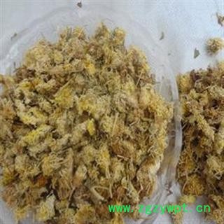 道地亳菊花 统 产地 安徽省亳州市谯城区图3