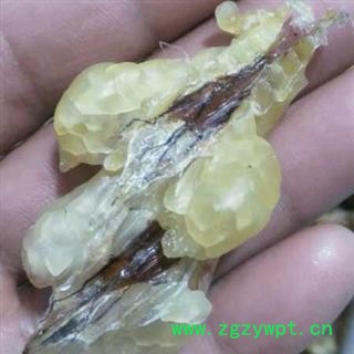 蛤蟆油 特级长白山林蛙油无坏油黑油发泡率高产地直供 产地 吉林省白山市抚松县图2