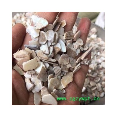 珍珠母 珍珠母无末选片 产地 浙江省 小影全品类中药材电铺