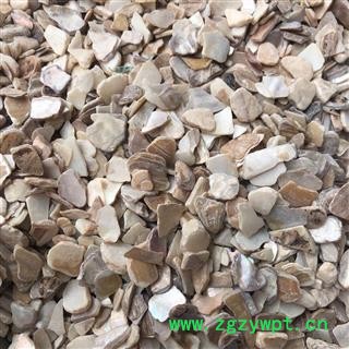 珍珠母 珍珠母无末选片 产地 浙江省 小影全品类中药材电铺图3