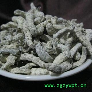 草民甄选白僵蚕 川产天虫 玻璃茬 纯净选货 正品含量高图3