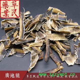 草民甄选半开地龙 大片广地龙 微有泥头 专业批发量大从优图2