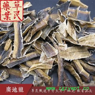 草民甄选半开地龙 大片广地龙 微有泥头 专业批发量大从优图3