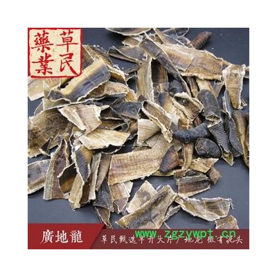 草民甄选半开地龙 大片广地龙 微有泥头 专业批发量大从优