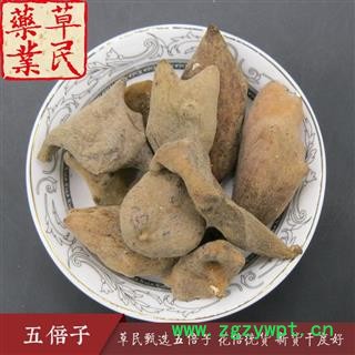 草民甄选五倍子 花倍统货 新货干度好 实物如图 专业批发量大从优图4