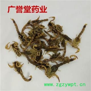 蝎子  全蝎 七成干 产地山西省阳泉市城区图3