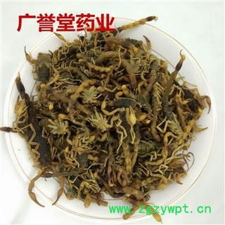 蝎子  全蝎 七成干 产地山西省阳泉市城区图2