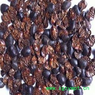 《满198包邮》土元 土元  过筛无杂质 纯净货 清水货  货源稀少  产地 河北省图3