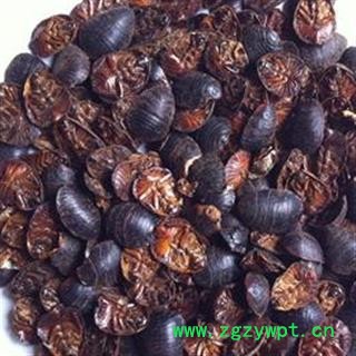 《满198包邮》土元 土元  过筛无杂质 纯净货 清水货  货源稀少  产地 河北省图2