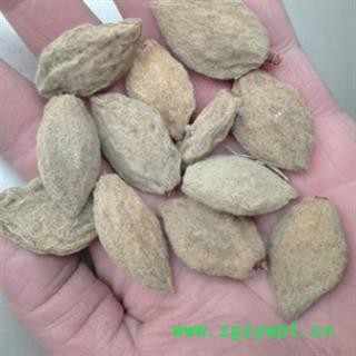 碧桃干 正品保证质量7天无理由退货退款 安品堂图2