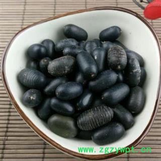 苦石莲 正品保证质量7天无理由退货退款 安品堂图2