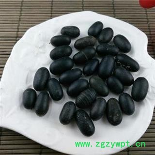 苦石莲 正品保证质量7天无理由退货退款 安品堂图4