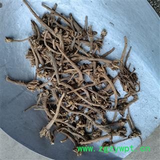 阿娜其根 正品保证质量 华安堂图4