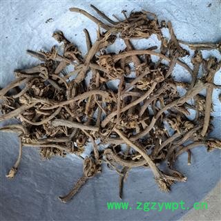 阿娜其根 正品保证质量 华安堂图2