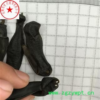 水蛭 长水蛭清水统货 产地 江苏省图2