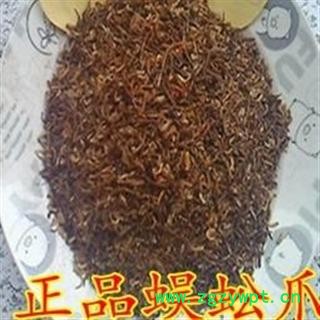 蜈蚣爪（脚） 统 产地 湖北省荆门市市辖区图2