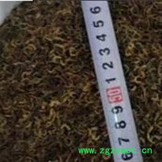 蜈蚣爪（脚） 统 产地 湖北省荆门市市辖区图3