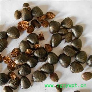 土元 统 产地 河北省保定市 库存 500公斤可售图3