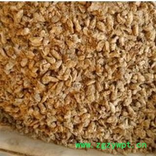 原蚕蛾 统 产地 湖北省十堰市竹溪县（东图3