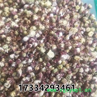 白梅花  绿萼梅 緑萼梅 绿梅花图2