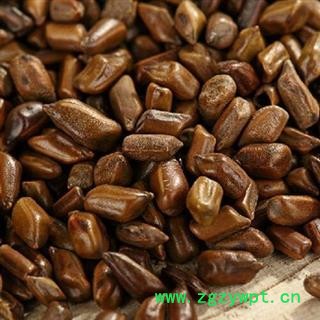 决明子 正品保证质量7天无理由退货退款 安品堂图4