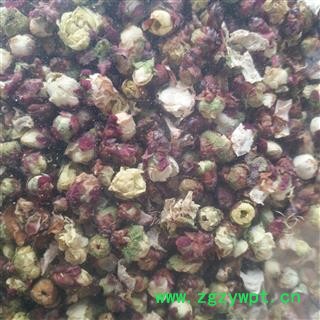 诺源药材行绿萼梅 白梅花  优质花茶图3