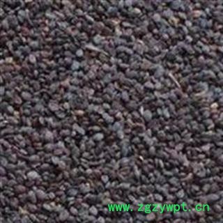 菥蓂子 菥蓂籽 正品保证质量7天无理由退货退款 中药材批发 丽丽药业图2