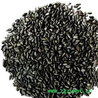 菥蓂子 菥蓂籽 正品保证质量7天无理由退货退款 中药材批发 丽丽药业图4