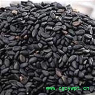 菥蓂子 菥蓂籽 正品保证质量7天无理由退货退款 中药材批发 丽丽药业图3