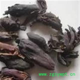 诺源药材行中药材优质厚朴花 川朴花图2