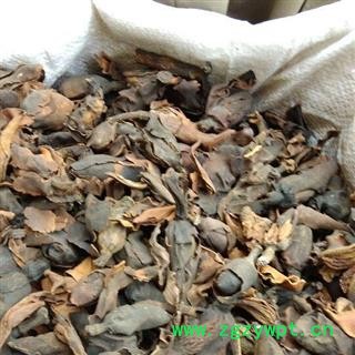 诺源药材行中药材优质厚朴花 川朴花图3