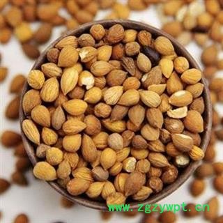 郁李仁统货正品保证质量 中药材批发 丽丽药业图2