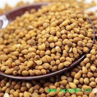 郁李仁统货正品保证质量 中药材批发 丽丽药业图4