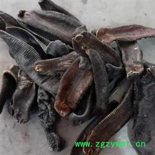 中药材水蛭 蚂蟥 规格齐全 本品无硫无熏蒸 色泽自然 本品是当季新货 夏秋二季抓捕 烫死晒干 个大完整干净 手工挑选 色泽自然 品质有保证 安国中药材批发零售大全图2