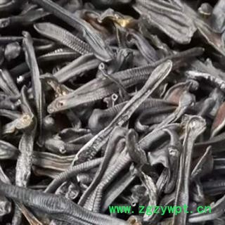 中药材水蛭 蚂蟥 规格齐全 本品无硫无熏蒸 色泽自然 本品是当季新货 夏秋二季抓捕 烫死晒干 个大完整干净 手工挑选 色泽自然 品质有保证 安国中药材批发零售大全图3