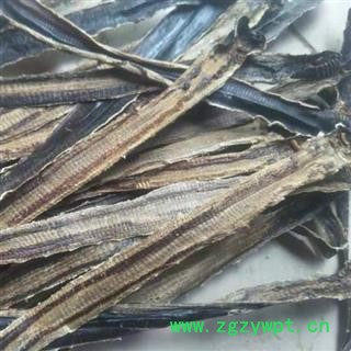 地龙中药材 产地广西 全开地龙 品种齐全 安国中草药批零大全图3