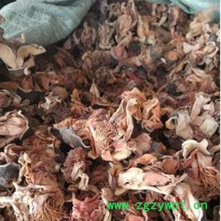 安祁名药中药材木棉花  正品实拍图3