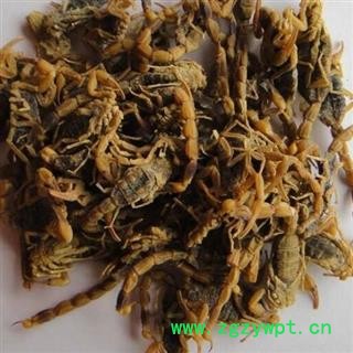 盐水全蝎别名全虫 产地河北品种齐全 安国中药材市场批发零售图2