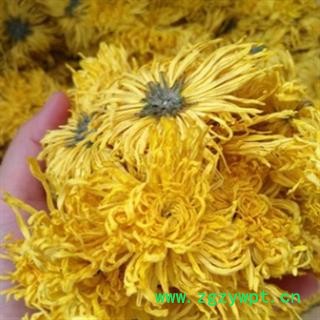 安祁名药精致菊花茶 金丝黄菊图2