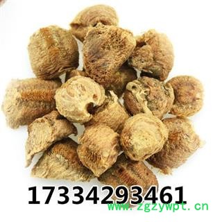 桑螵蛸 蜱蛸 桑蛸 螵蛸 熟桑螵蛸 中药材图2