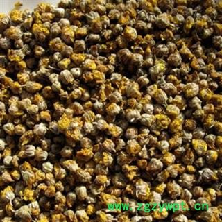 安祁名药优质野菊花  含量高 正品销售图2