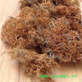 安祁名药优质红雪茶 金丝茶 金刷把图2