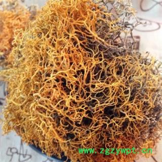 安祁名药优质红雪茶 金丝茶 金刷把图3