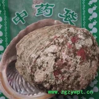 诺源药材行中药材优质矿物质石决明 九孔石决明图2