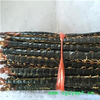 诺源药材行蜈蚣 蜈蚣中条选货12-14cm图2