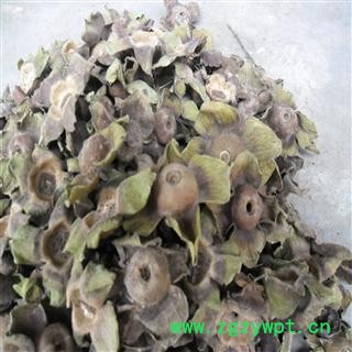 柿蒂 统货 产地 四川省成都市双流县 库存 500千克可售图3