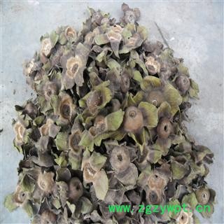 柿蒂 统货 产地 四川省成都市双流县 库存 500千克可售图4